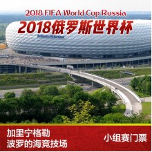 FIFA Russia World Cup Ticket