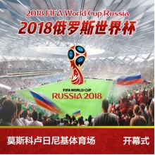 FIFA Russia World Cup Ticket